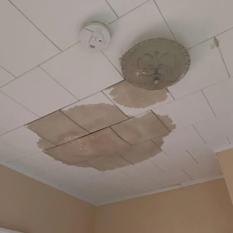 Ceiling Water Damage Repair in Dallas, TX