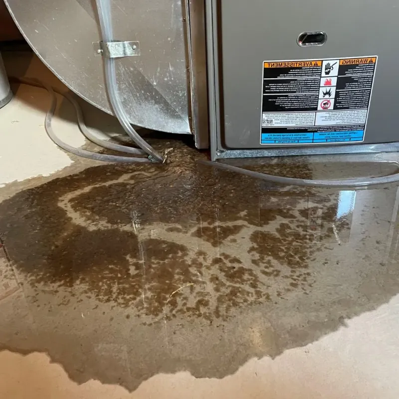 Pipe Burst and Leak Restoration in Dallas, TX