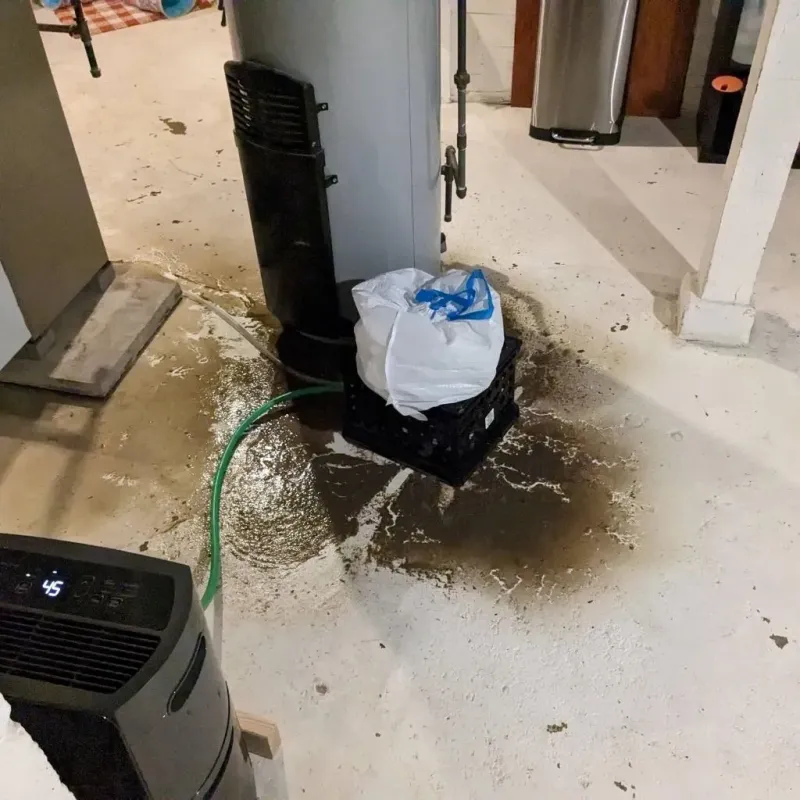 Sewage Backup Cleanup Service in Dallas, TX